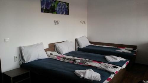 Hostal Guest House Hasiendata