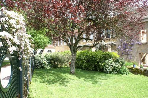 B&B Vassy Etaule