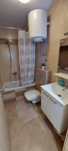 Apartments Gojak