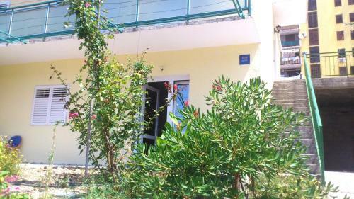 Apartments Gojak