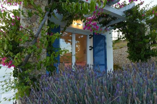 Villa Gournes