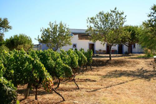 Agroturismo Monte Da Casteleja