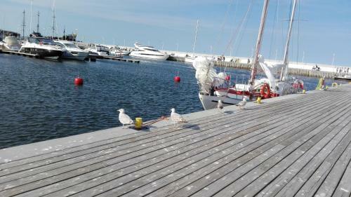Marina Apartments Dolina Go??biewska