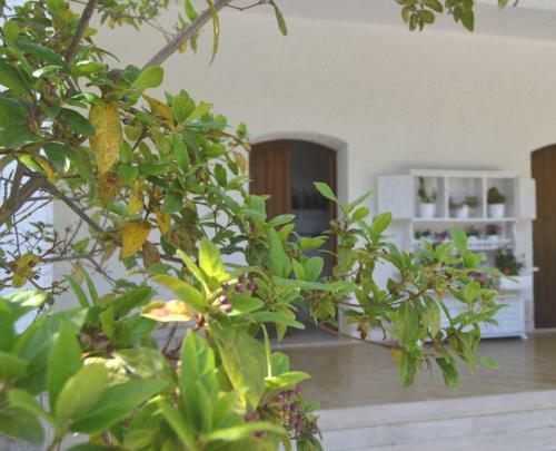 Agroturismo La Frantoiana