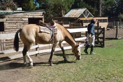 Hostal Caba�a Entre Lagos Y Monta�as