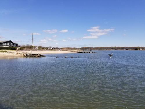 Saybrook Manor Beach House