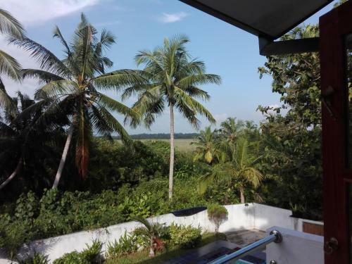 Hostal Field Side Villa