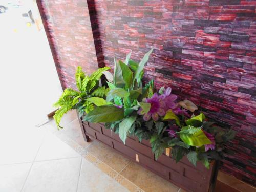 Apartamento Khaleej Alez Furnished Units