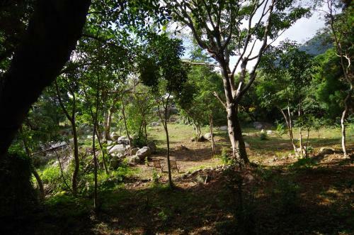 Guest House Views