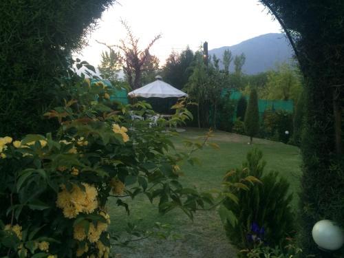 Hostal The Oasis Srinagar