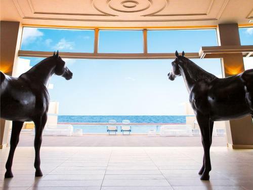 Hotel Astir Alexandroupolis