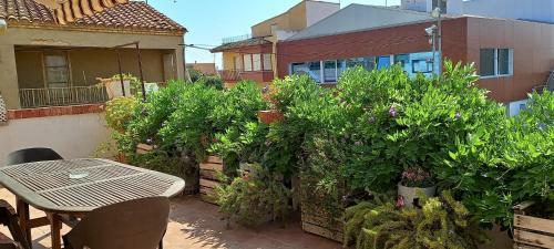 Apartamento Ca La Pia