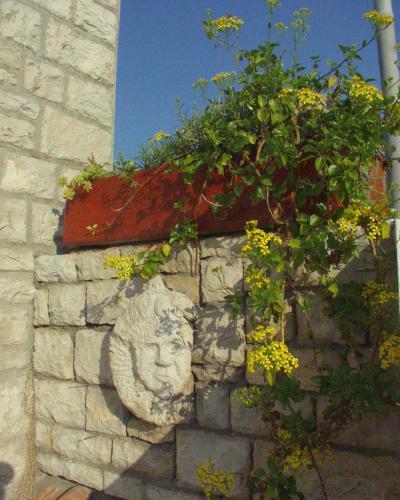 Hostal Studio Milna 735a