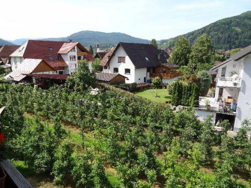 Apartamento Ferienwohnung M�ller