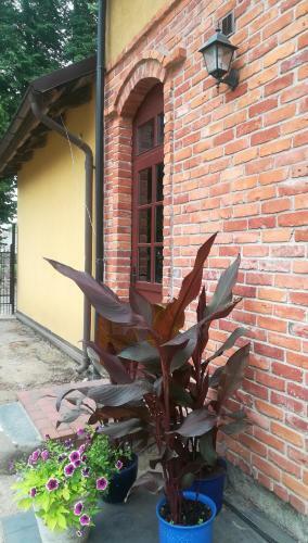 Silute Apartments