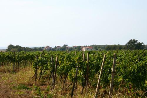 Hostal Studio Rozac 7072a