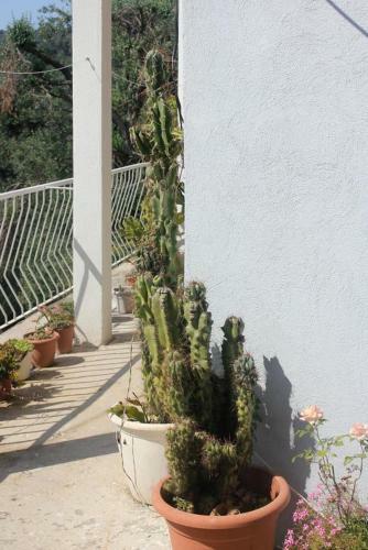 Hostal Triple Room Zaton Mali 9114a