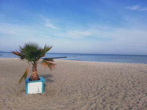 Hostal Pension F�rst Borwin