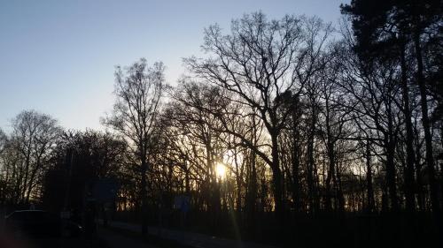 Hostal Pension F�rst Borwin