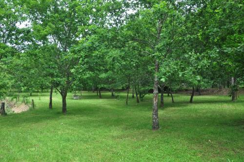Agroturismo Casas Vale Martinho