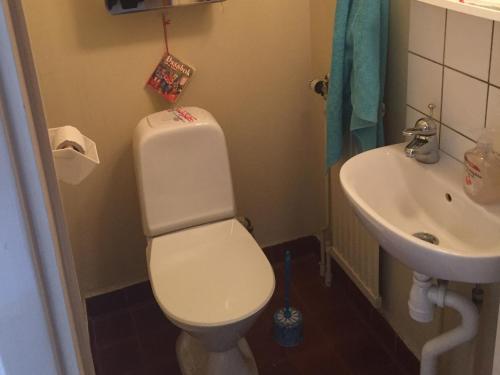 Ribo Apartment Triangel