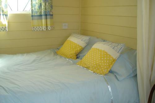 Shrublands Farm Shepherd's Hut