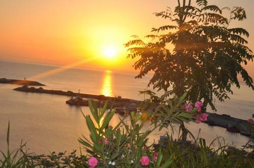 Hotel Panorama Damla Otel