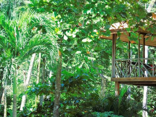 Bed & Breakfast Punta Preciosa