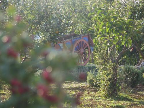 Hostal La Radice