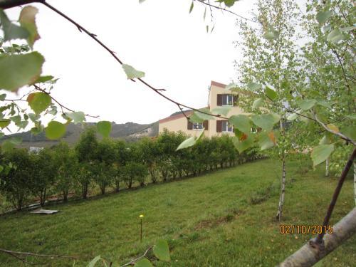 Hostal La Radice