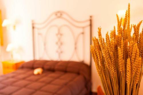 Apartmentos Cazorla Valle
