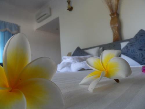 Bed & Breakfast Divers Lodge Guest House