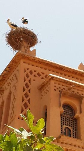 Bed & Breakfast Dar Jnan Tiouira Dades
