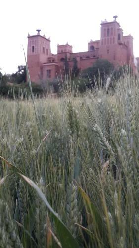 Bed & Breakfast Dar Jnan Tiouira Dades