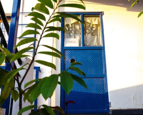 Albergue Fat Cat Backpackers