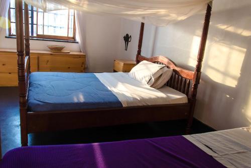 Albergue Fat Cat Backpackers