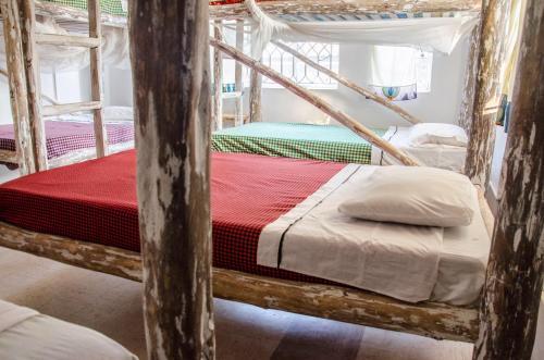Albergue Fat Cat Backpackers