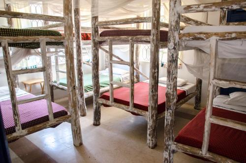 Albergue Fat Cat Backpackers