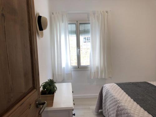 Apartaments La Palmera