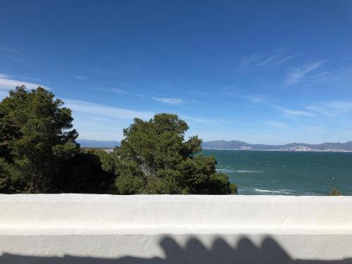 Apartaments La Palmera