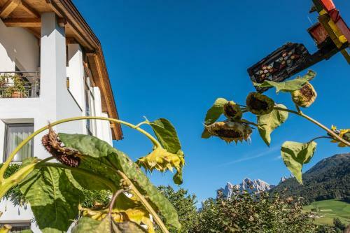 Apartamento Appartment Schatzer