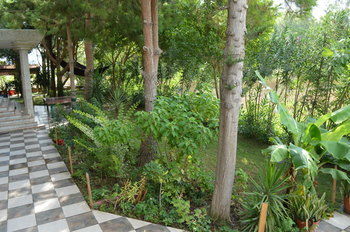 Selinus Beach Club Hotel - All Inclusive