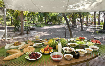 Hotel Olympos Lodge