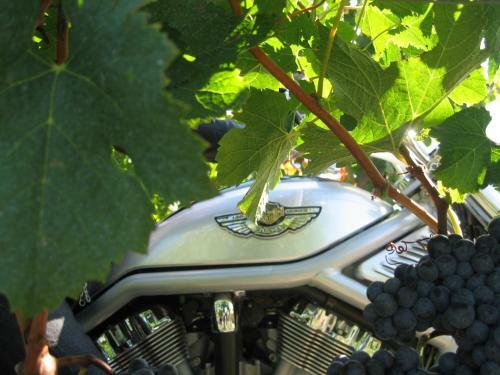 Bed & Breakfast Clos De La Barbanne