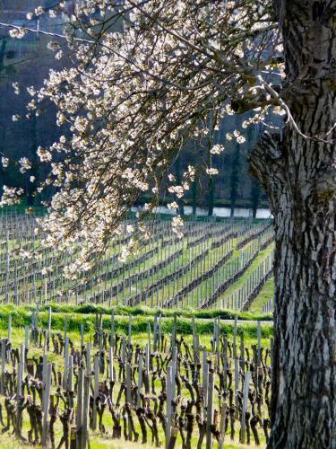 Bed & Breakfast Clos De La Barbanne