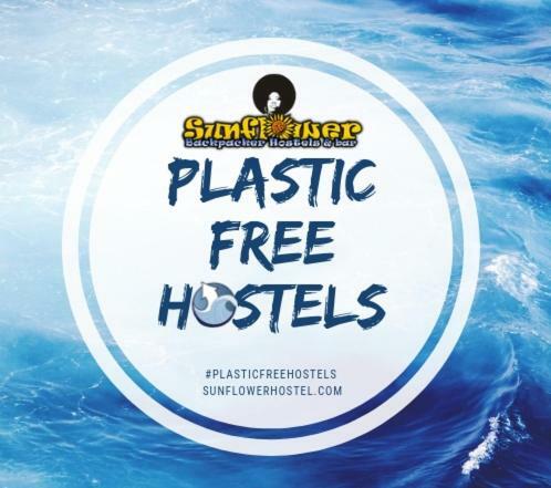 Hostal Sunflower