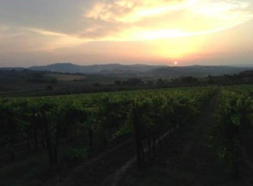 Bed & Breakfast Villa Nottola