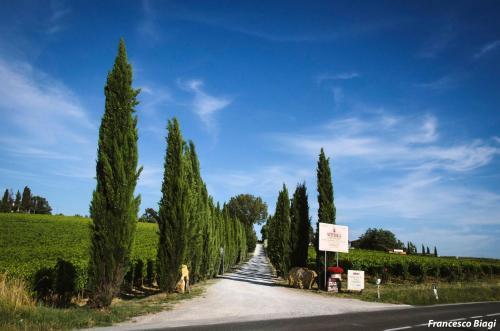 Bed & Breakfast Villa Nottola