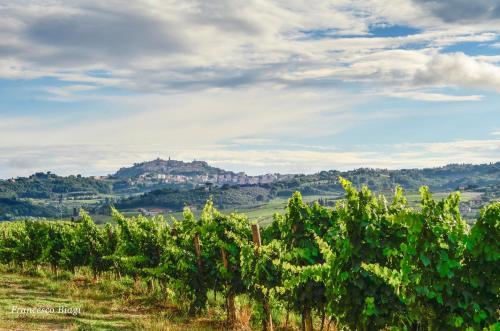 Bed & Breakfast Villa Nottola