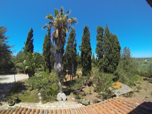 B&B La Rucchetta